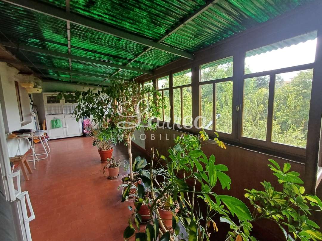 pisua salmenta an amorebieta etxano an